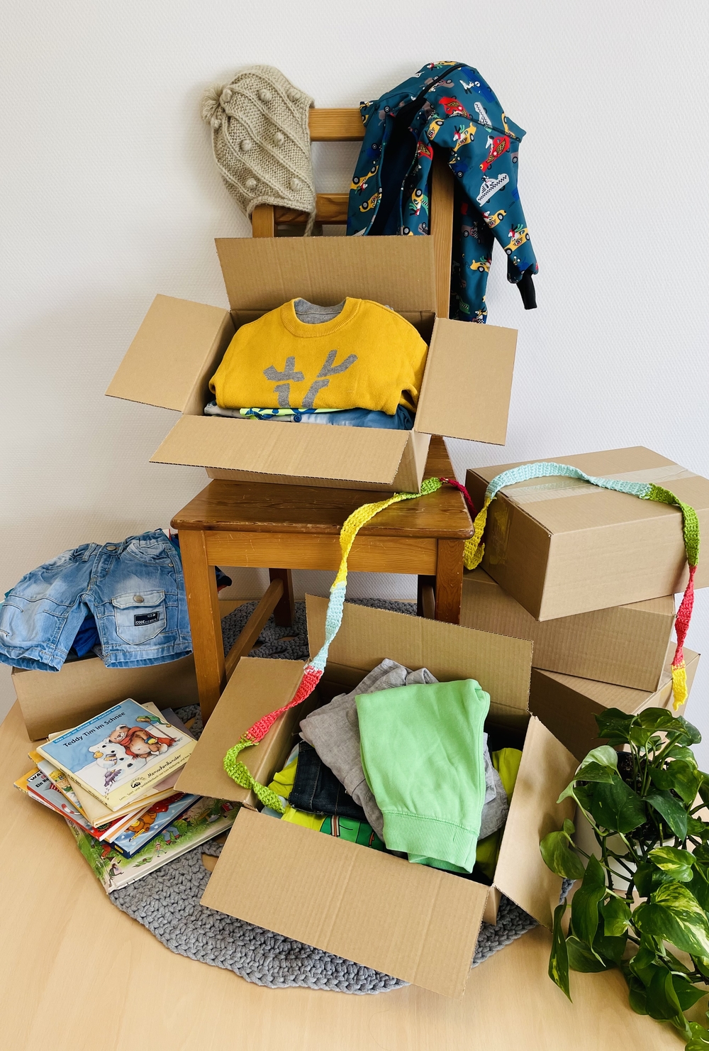Kids Box Jungs